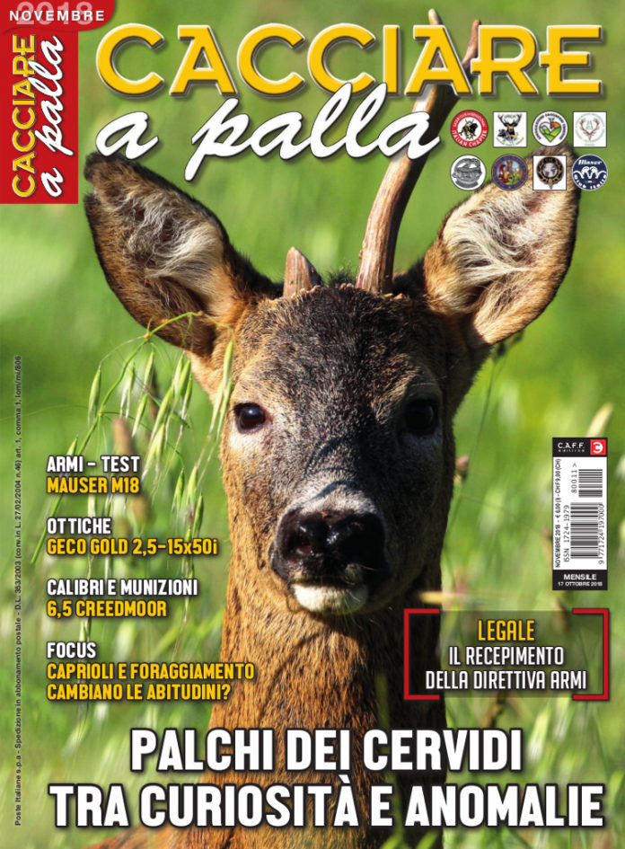 Cacciare a Palla novembre 2018 Cacciare a Palla novembre 2018