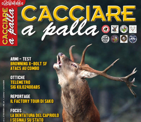 Cacciare a Palla dicembre 2018 in edicola dal 17 novembre Cacciare a Palla dicembre 2018