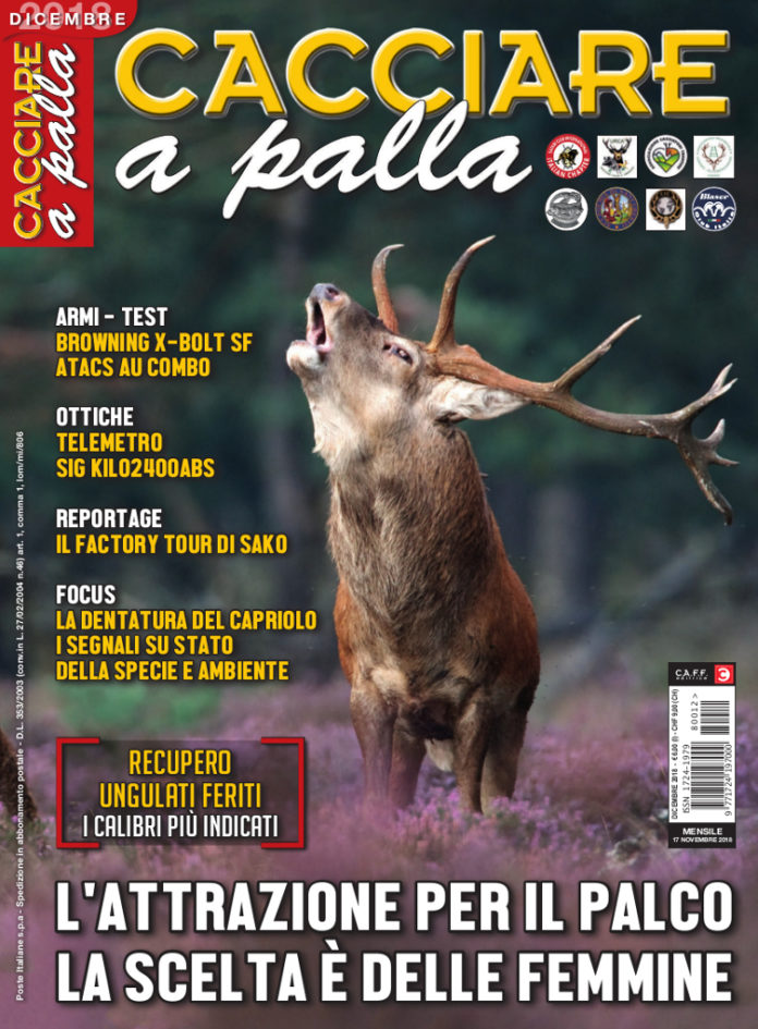 Cacciare a Palla dicembre 2018 Cacciare a Palla dicembre 2018