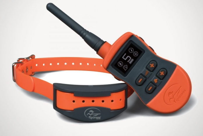sport dog sport trainer SD-1275E collare educativo per cani sport dog sport trainer SD-1275E collare educativo per cani