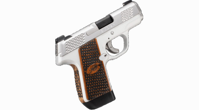 pistola compatta Kimber Evo SP Stainless Raptor pistola compatta Kimber Evo SP Stainless Raptor