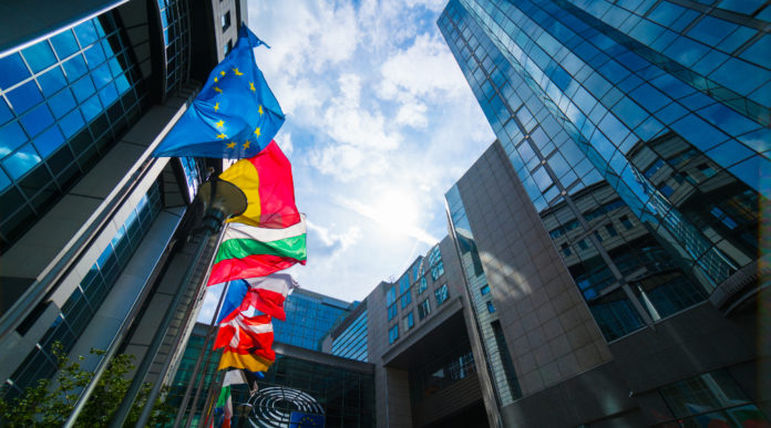 Legislazione sulle armi ingresso del parlamento europeo