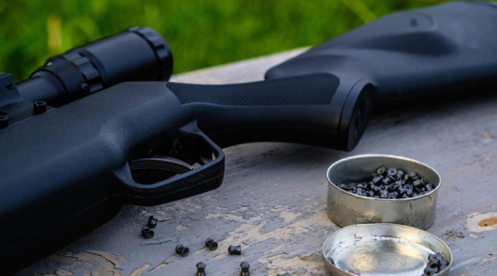 Allenamento per carabina e pistola ad aria compressa l’iniziativa del Tsn di Milano Allenamento per carabina e pistola ad aria compressa