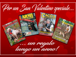 Per un San Valentino speciale un regalo lungo un anno.