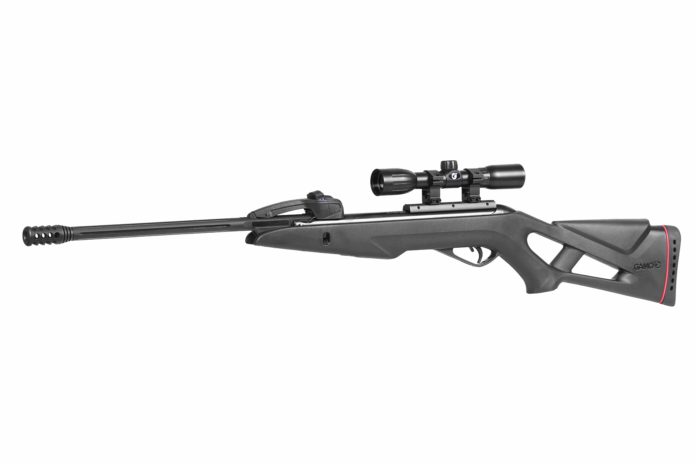Gamo Swarm Fox