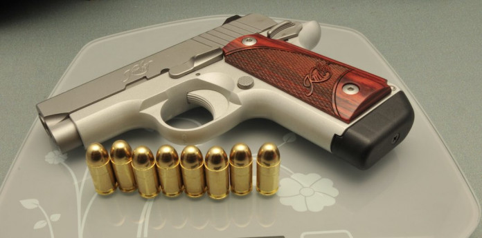 Kimber Micro Stainless Kimber Micro Stainless