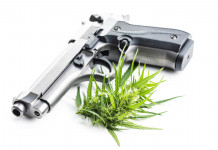 Cannabis e porto d’armi: la sentenza del Tar Cannabis e porto d’armi: pistola con foglia cannabinoidi