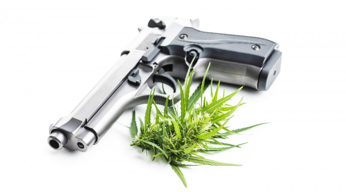 Cannabis e porto d’armi la sentenza del Tar Cannabis e porto d’armi: pistola con foglia cannabinoidi