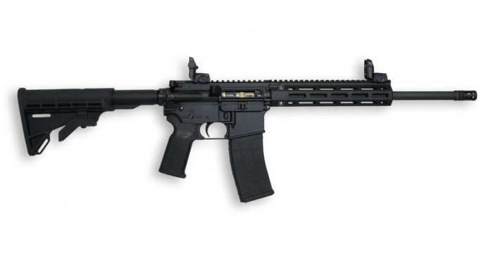 Quanto costano le carabine semiautomatiche Tippmann M4-22 in Italia Quanto costano le carabine semiautomatiche Tippmann M4-22 in Italia
