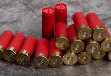 Il Tar: la circolare sulle munizioni in piombo è inutile Il Tar: la circolare sulle munizioni in piombo è inutile: munizioni calibro 12 con bossolo rosso